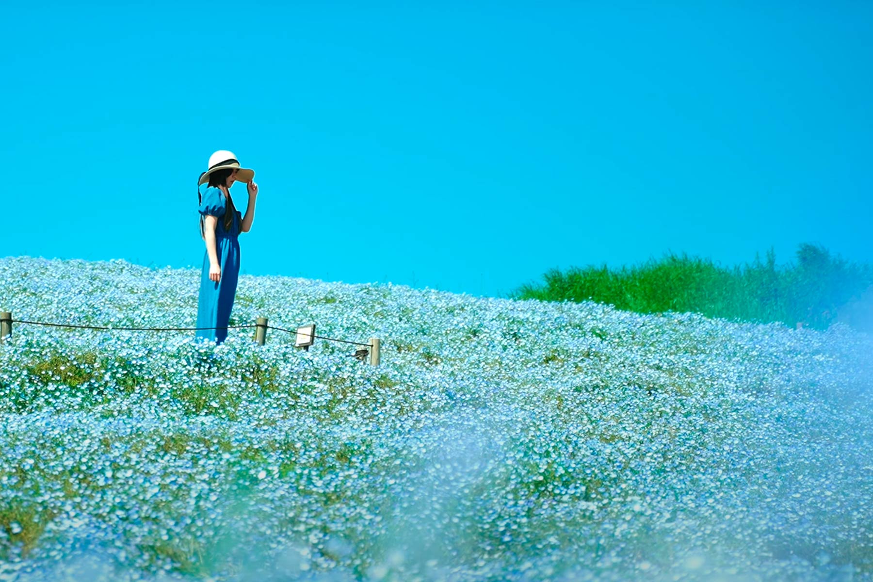 девушка гуляет в поле, счастье на природе